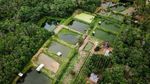 Potret Kampung Patin di Riau