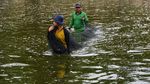 Potret Kampung Patin di Riau