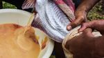 Potret Kampung Patin di Riau