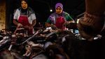 Potret Kampung Patin di Riau