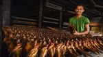 Potret Kampung Patin di Riau