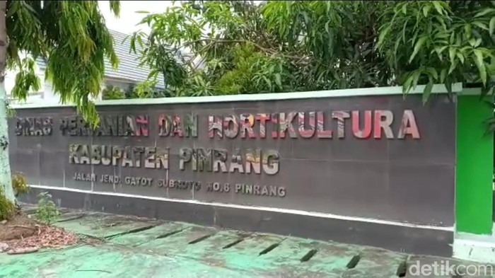 Kantor Dinas Pertanian dan Hortikultura Kabupaten Pinrang ditutup 3 hari karena ada pegawai yang positif Corona (Hasrul Nawir/detikcom)