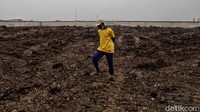 Pengerjaan pematangan lahan sudah dilakukan sejak 17 September dan diperkirakan selesai pada Desember 2020.