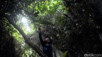Taman Hutan Raya Pancoran Mas pun menjadi kawasan penyeimbang dengan pepohonannya yang lebat di kawasan Depok, Jawa Barat.