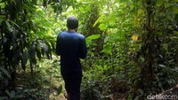 Sebagai salah satu cagar alam tertua di Indonesia, Taman Hutan Raya Pancoran Mas dapat menjadi salah satu objek wisata alternatif di Depok. Oleh karenanya perhatian dari pemerintah setempat diharapkan dapat membuat kawasan ruang terbuka hijau itu menjadi kian cantik dan menarik untuk dikunjungi warga maupun wisatawan yang berkunjung di kawasan Depok.