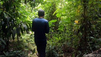 Tahura Pancoran Mas sedang Direvitalisasi, Kawal Bersama Yuk!