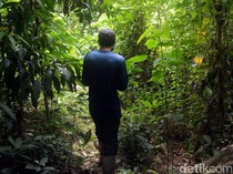 Tahura Pancoran Mas sedang Direvitalisasi, Kawal Bersama Yuk!