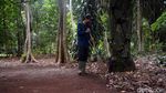 Salah Satu Cagar Alam Tertua Indonesia Ada di Depok Lho