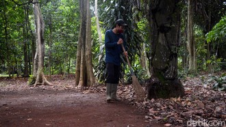 Revitalisasi Cagar Alam Depok Buat Apa Sih?