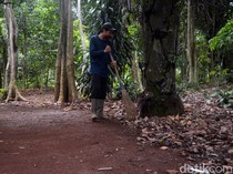 Revitalisasi Cagar Alam Depok Buat Apa Sih?