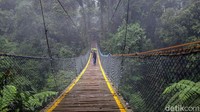 Jembatan Gantung Situ Gunung telah sukses menarik minat banyak wisatawan dari berbagai daerah.