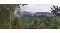 Wisatawan menikmati suasana dan keindahan jembatan gantung (suspension bridge) Taman Nasional Gunung Gede Pangrango (TNGGP) di Sukabumi, Jawa Barat, akhir pekan lalu (27/9/2020).