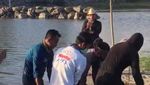 Lara Lumba-lumba Luka Terpisah hingga Terdampar di Pantai Rambang Lombok
