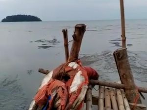BPBD Jelaskan Heboh Video Air Laut di Pantai Jepara Mendadak Surut