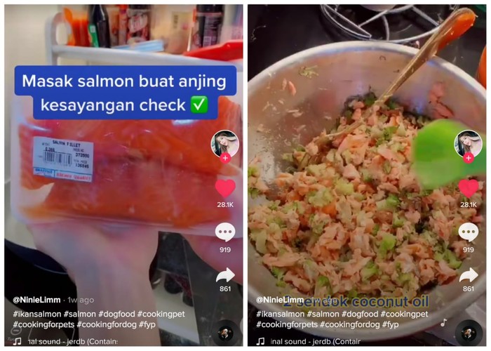 Bikin Netizen Ngiler, Wanita Ini Masak Salmon Panggang Buat Anjingnya