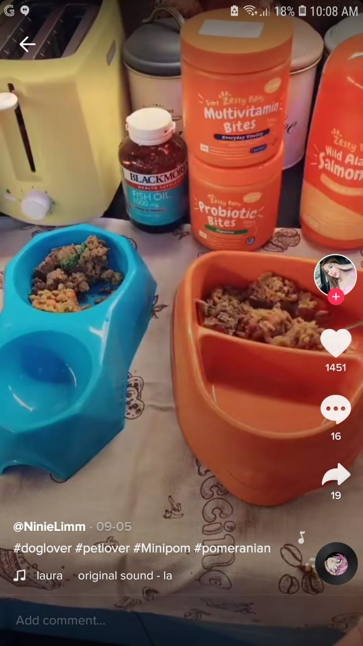 Bikin Netizen Ngiler, Wanita Ini Masak Salmon Panggang Buat Anjingnya