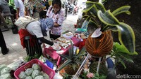 Sejumlah ibu rumah tangga tampak ikut serta dalam kegiatan belaja menanam bibit anggur yang digelar di kawasan Solo, Jawa Tengah.