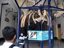 5 Museum Bertema Sains Ini Wajib Dikunjungi, Bisa Jalan-jalan Sambil Belajar