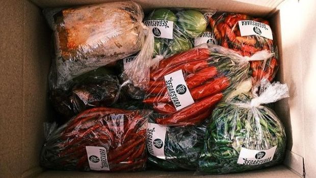 Bos Sound System Banting Setir Jual Sayur Online