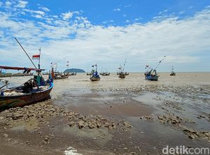 7 Fakta Terungkap dari Air Laut Pantai di Jepara yang Mendadak Surut