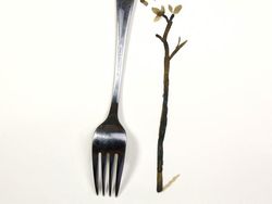 Lucu Banget, Benda Sehari-hari Dicampur Jadi Lukisan