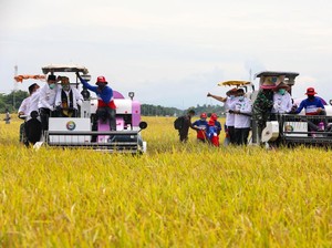 Ke Aceh, Mentan Janji Bangun Pabrik Penggilingan Padi