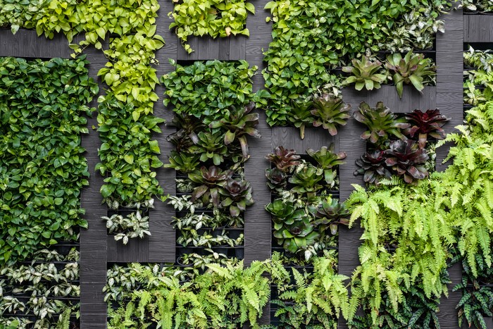 Pagar Green wall, eco friendly vertical garden