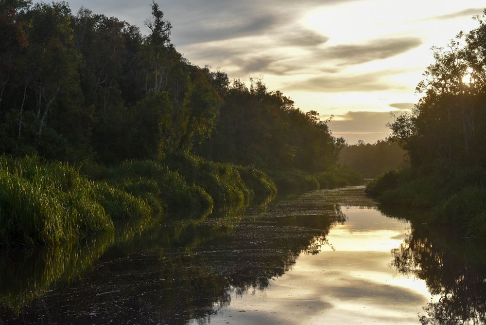 Panorama menjelang malam di Sungai Sekoyeng di atas kapal klotok