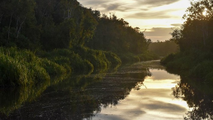 Panorama menjelang malam di Sungai Sekoyeng di atas kapal klotok