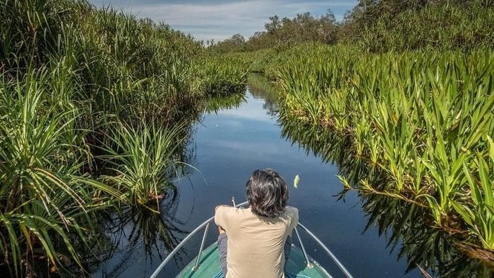 Pariwisata Indonesia