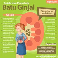 Perlu Tahu! Gejala Dan Penyebab Penyakit Batu Ginjal