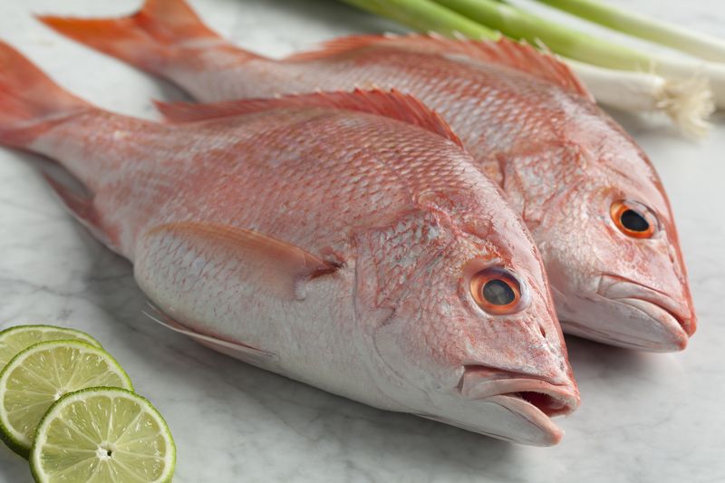 Pindang Ikan Kakap