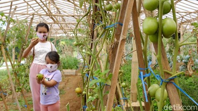 Serunya Wisata Edukasi di Masa Pandemi