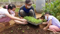Hal itu dilakukan untuk mengenalkan kehidupan pertanian kepada anak-anak.