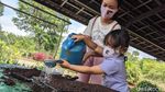 Serunya Wisata Edukasi di Masa Pandemi