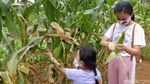 Serunya Wisata Edukasi di Masa Pandemi
