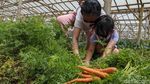 Serunya Wisata Edukasi di Masa Pandemi