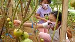 Serunya Wisata Edukasi di Masa Pandemi