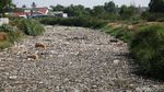 Jorok! Sungai di Bekasi Ini Dipenuhi Sampah