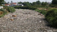 Seluruh permukaan air tertutup oleh sampah.