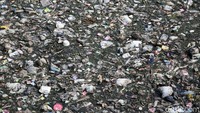 Sampah didominasi oleh plastik.