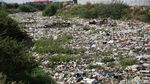 Jorok! Sungai di Bekasi Ini Dipenuhi Sampah