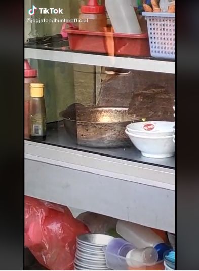 Hiii Netizen Ini Pergoki Dua Ekor Tikus Asyik Makan di 