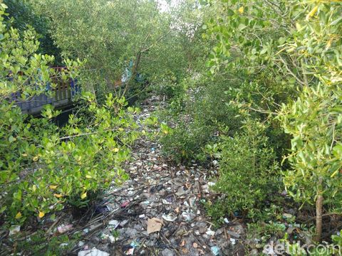 Tumpukan sampah memanjang di taman mangrove Pantai Bontang Kaltim menimbulkan bau busuk (Budi Kurniawan/detikcom)