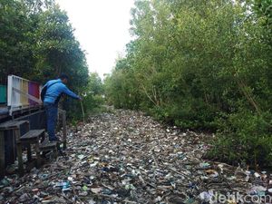 Tumpukan Sampah Penuhi Taman Mangrove Pantai Bontang Timbulkan Bau Busuk