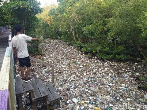 Tumpukan sampah memanjang di taman mangrove Pantai Bontang Kaltim menimbulkan bau busuk (Budi Kurniawan/detikcom)