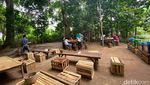 Asyiknya Makan Siang di Warung Tuman yang Ada di Tengah Kebun