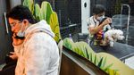 Potret Kafe Anjing Pertama di Arab Saudi