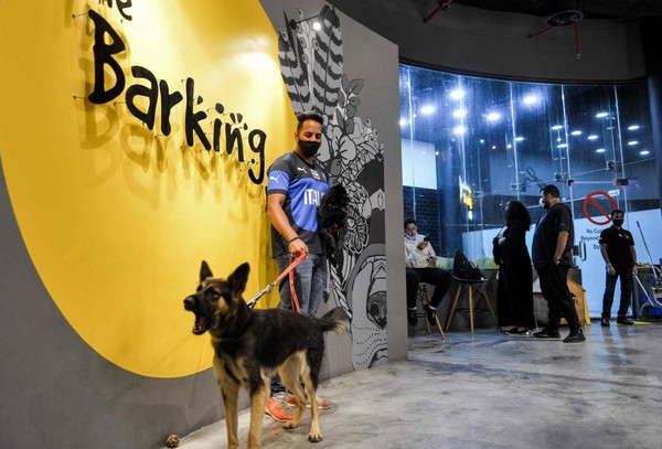 Seperti diketahui, kafe bertema anjing itu baru saja buka pada bulan Juni 2020 kemarin. Padahal sebelumnya, anjing di Arab Saudi tak diperbolehkan berkeliaran di ruang publik. Seperti diketahui, kafe bertema anjing itu baru saja buka pada bulan Juni 2020 kemarin. Padahal sebelumnya, anjing di Arab Saudi tak diperbolehkan berkeliaran di ruang publik.