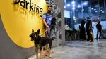 Potret Kafe Anjing Pertama di Arab Saudi